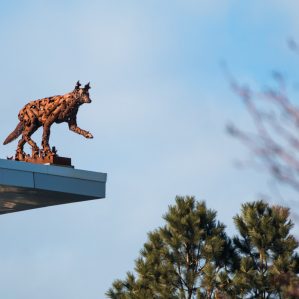 Coyote statue on top of the House of Learning