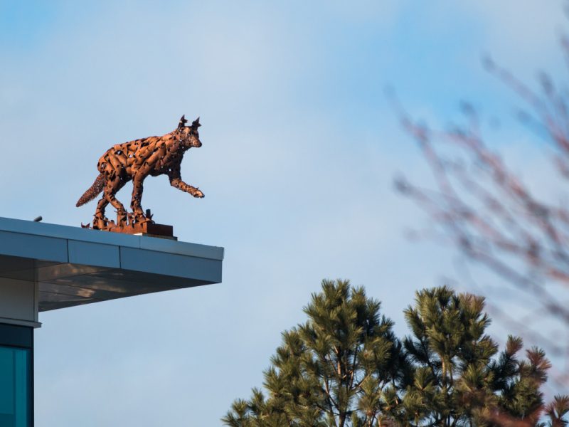 Coyote statue on top of the House of Learning