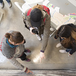 students collaborating on a project