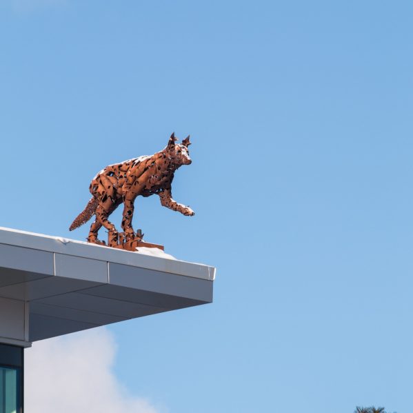 Coyote statute on top of House of Learning