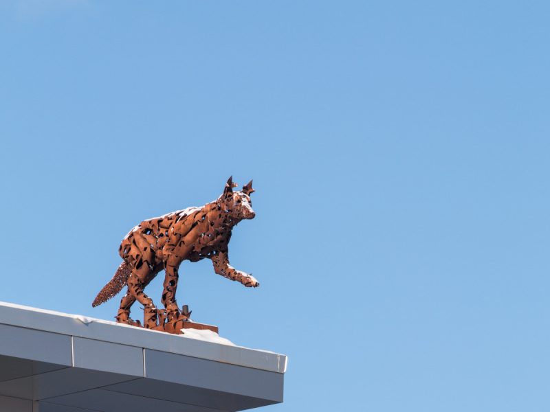 Coyote statute on top of House of Learning
